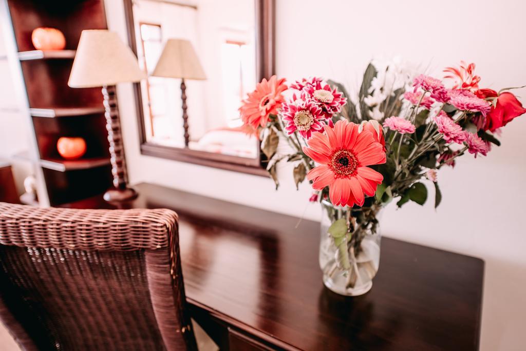 La Vista Lodge Plettenberg Bay Ngoại thất bức ảnh